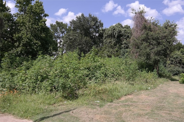 110 Young St, Willis, TX 77378 - photo 2