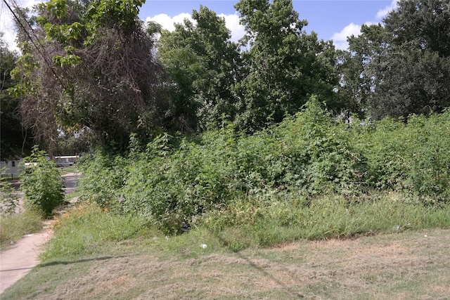 110 Young St, Willis, TX 77378 - photo 5