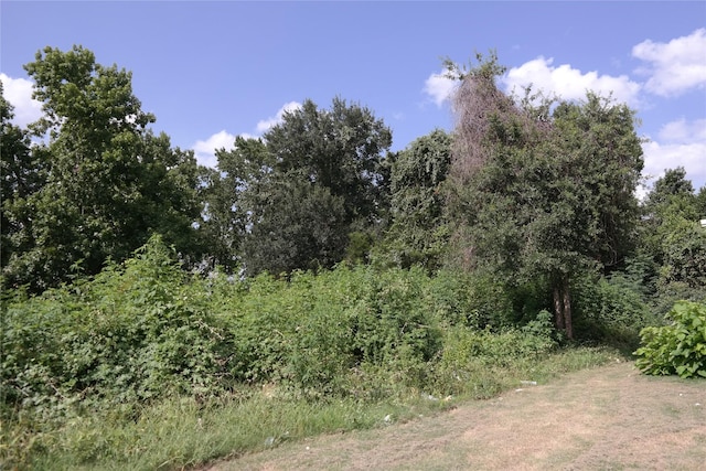 110 Young St, Willis, TX 77378 - photo 6