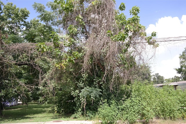 110 Young St, Willis, TX 77378 - photo 1