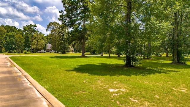 TBD Somer Glen Dr, Livingston, TX 77351 - photo 4