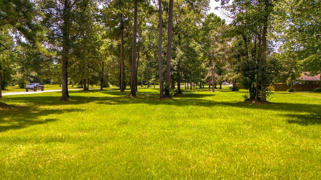 TBD Somer Glen Dr, Livingston, TX 77351 - photo 3