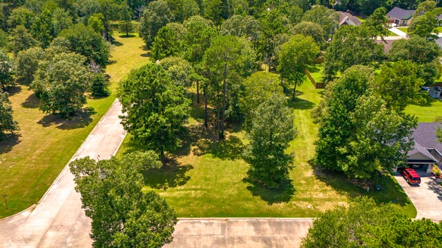 TBD Somer Glen Dr, Livingston, TX 77351 - photo 9