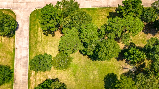 TBD Somer Glen Dr, Livingston, TX 77351 - photo 5