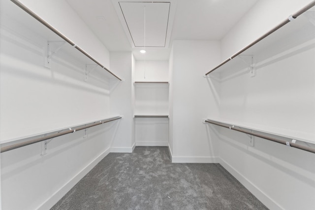 9618 Habitat St, Houston, TX 77075 - photo 22