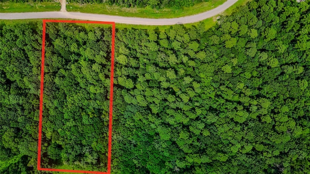 LOT24 Sandpiper Dr, Huntsville, TX 77358 - photo 1