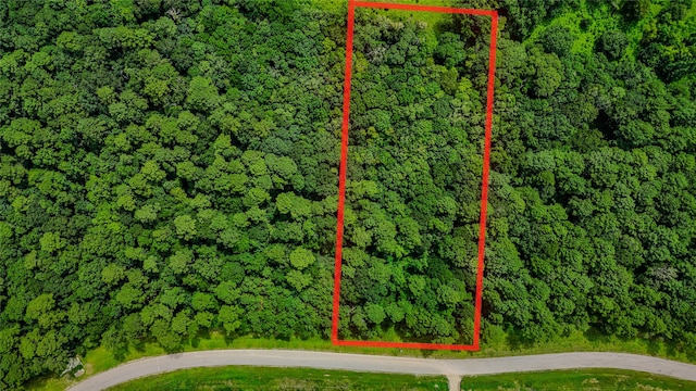 LOT24 Sandpiper Dr, Huntsville, TX 77358 - photo 2