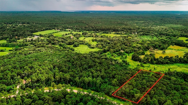 LOT24 Sandpiper Dr, Huntsville, TX 77358 - photo 3