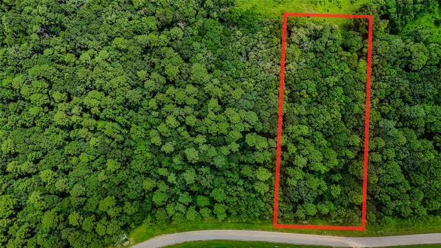 LOT24 Sandpiper Dr, Huntsville, TX 77358 - photo 4