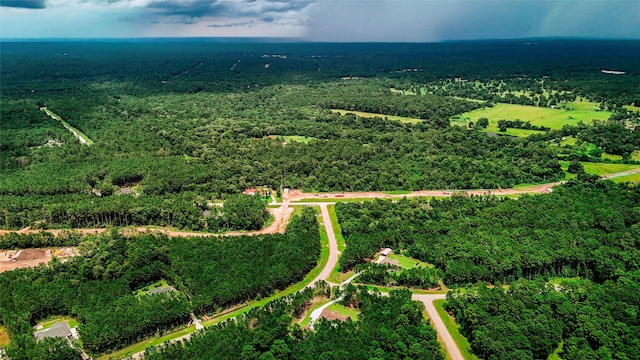 LOT24 Sandpiper Dr, Huntsville, TX 77358 - photo 5