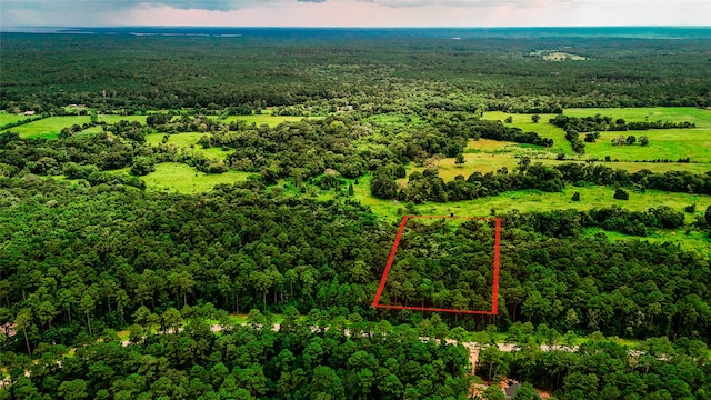 LOT24 Sandpiper Dr, Huntsville, TX 77358 - photo 6
