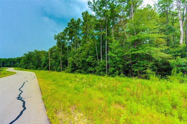 LOT24 Sandpiper Dr, Huntsville, TX 77358 - photo 9