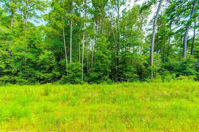 LOT24 Sandpiper Dr, Huntsville, TX 77358 - photo 10