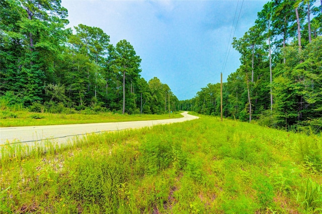 LOT24 Sandpiper Dr, Huntsville, TX 77358 - photo 11
