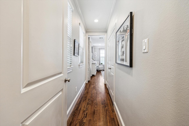 830 W 17th St Unit B, Houston, TX 77008 - photo 14