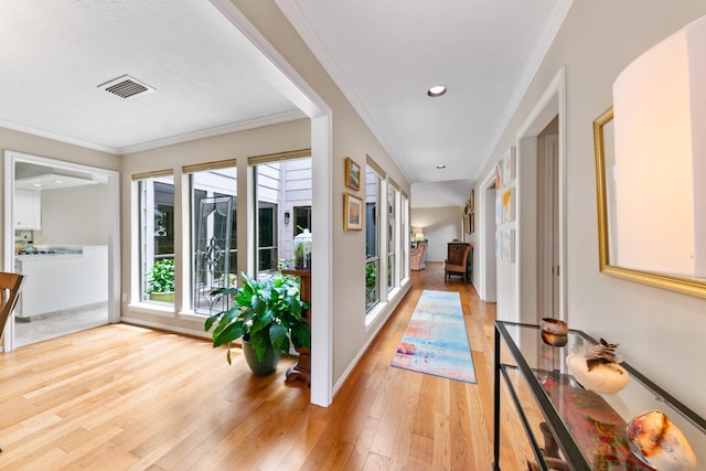 14121 Cherry Mound Rd, Houston, TX 77077 - photo 5