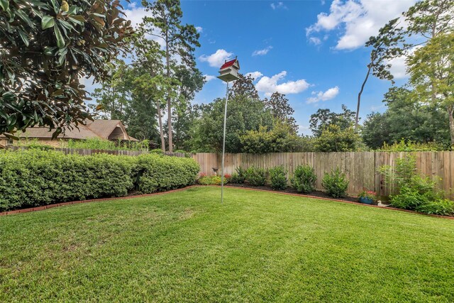 163 Clearmont Pl, Montgomery, TX 77316 - photo 39