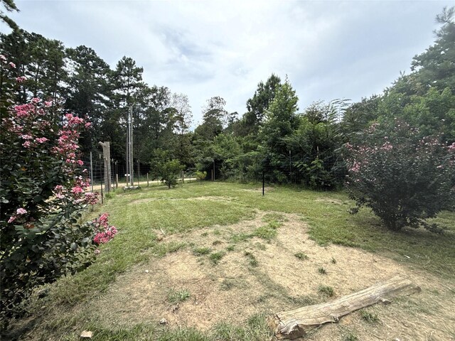 159 Greens Elbow, Livingston, TX 77351 - photo 5