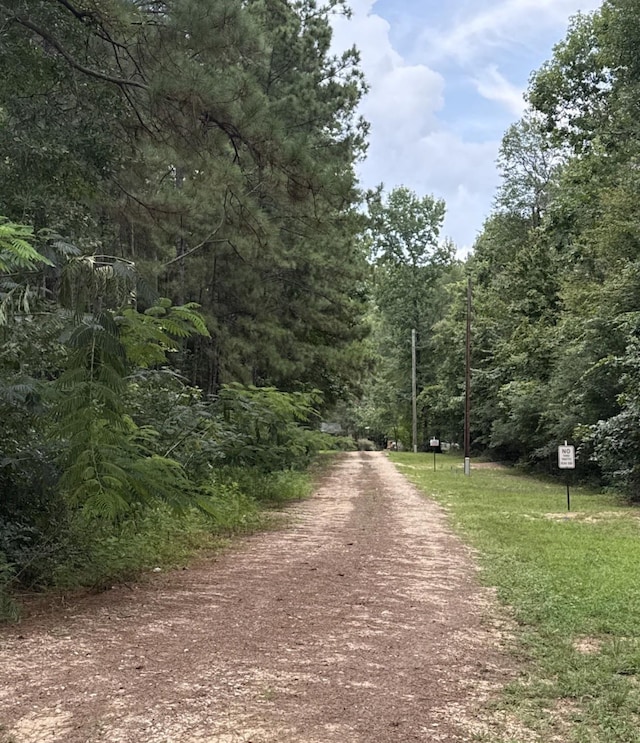 159 Greens Elbow, Livingston, TX 77351 - photo 19