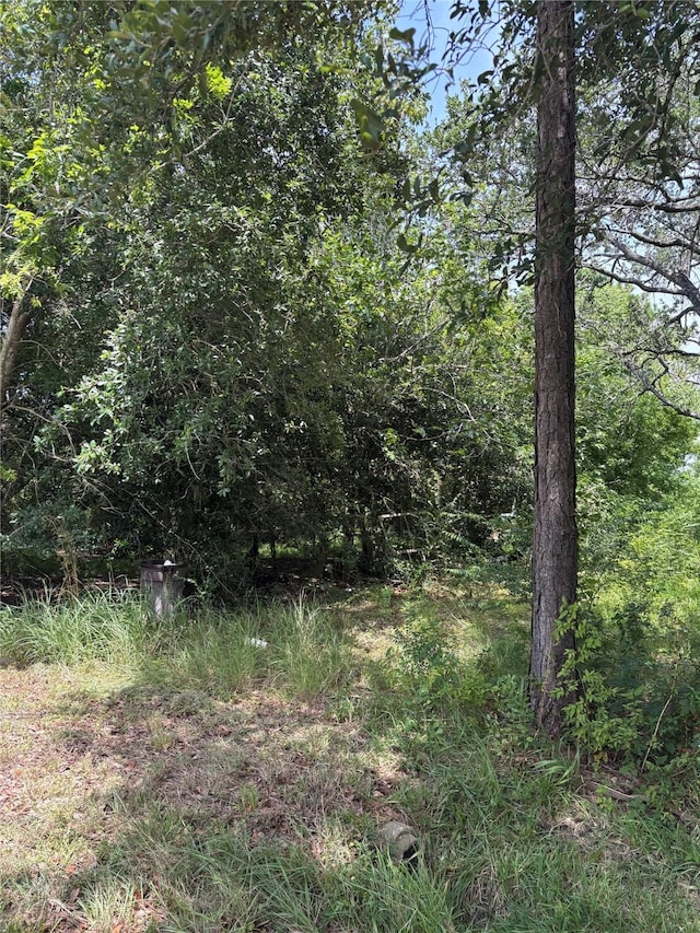 3905 Avenue G 1/2 Ave G 1/2, Santa Fe, TX 77510 - photo 1