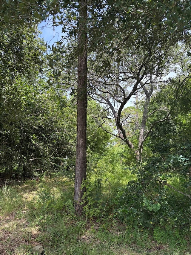 3905 Avenue G 1/2 Ave G 1/2, Santa Fe, TX 77510 - photo 2
