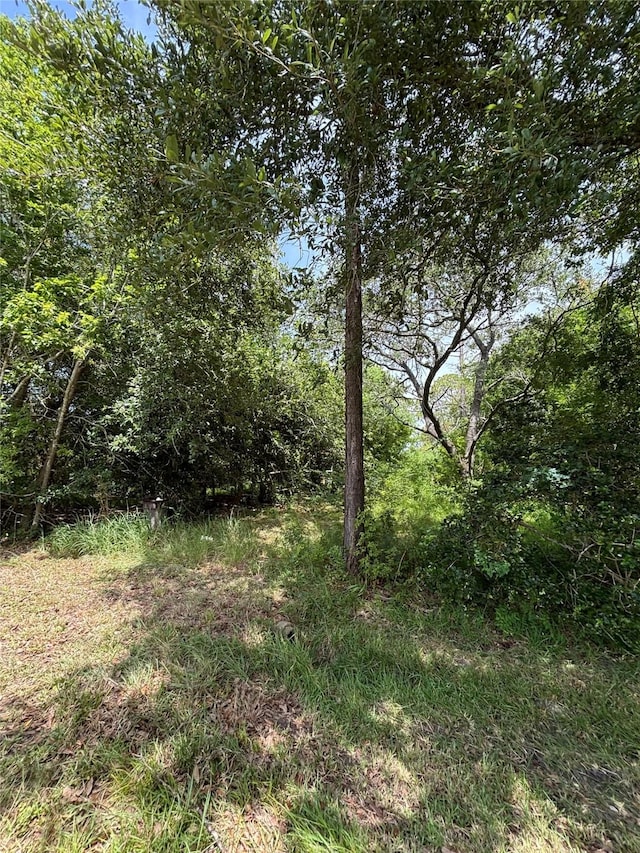 3905 Avenue G 1/2 Ave G 1/2, Santa Fe, TX 77510 - photo 4