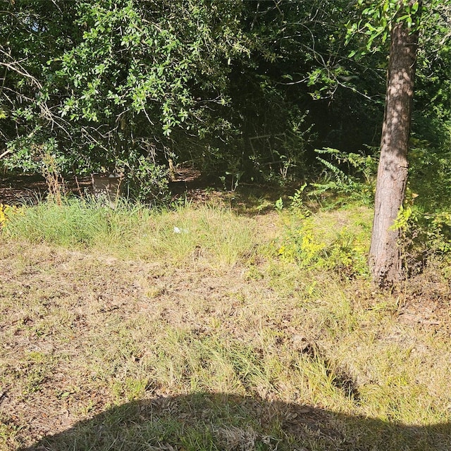 3905 Avenue G 1/2 Ave G 1/2, Santa Fe, TX 77510 - photo 7