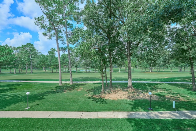 12900 Walden Rd Unit 604F, Montgomery, TX 77356 - photo 1
