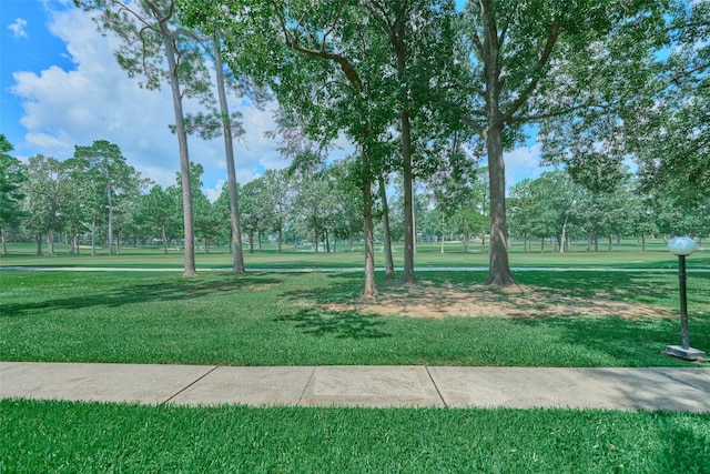 12900 Walden Rd Unit 604F, Montgomery, TX 77356 - photo 25