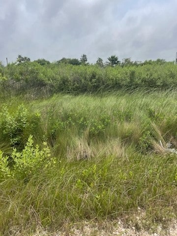 0 S Sonny Ln, Galveston, TX 77554 - photo 1
