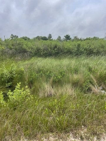 0 S Sonny Ln, Galveston, TX 77554 - photo 2