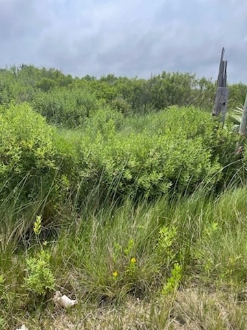 0 S Sonny Ln, Galveston, TX 77554 - photo 3