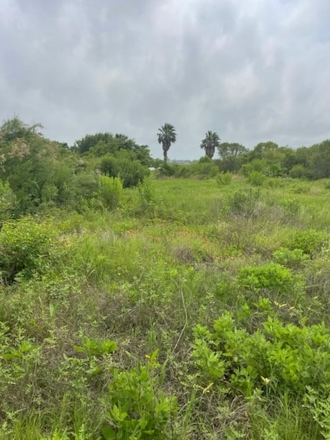 0 S Sonny Ln, Galveston, TX 77554 - photo 4