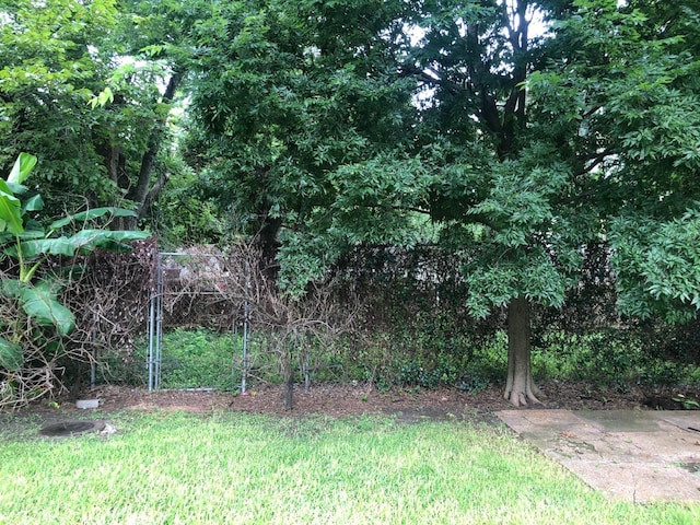 1209 Confederate Rd, Houston, TX 77055 - photo 24