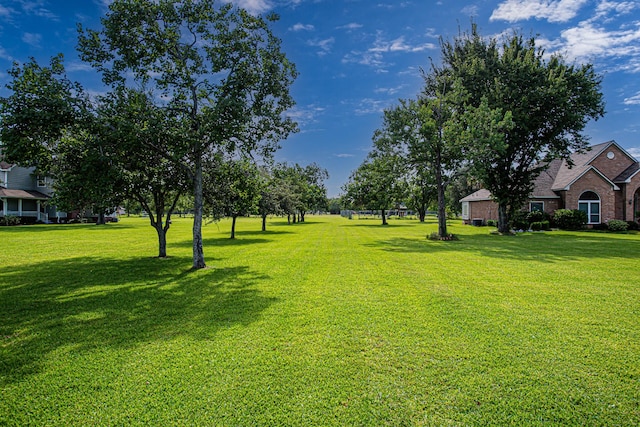 2123 Lee Rd, Pearland, TX 77581 - photo 20