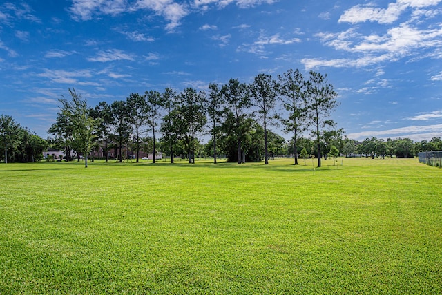 2123 Lee Rd, Pearland, TX 77581 - photo 22