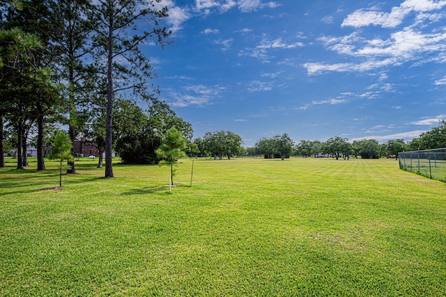 2123 Lee Rd, Pearland, TX 77581 - photo 23