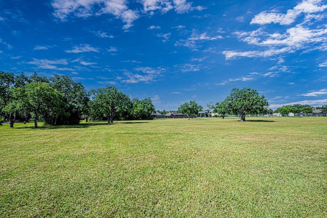 2123 Lee Rd, Pearland, TX 77581 - photo 30