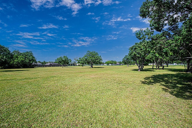 2123 Lee Rd, Pearland, TX 77581 - photo 29