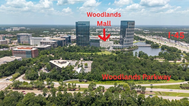 13 Woodhaven Wood Dr, The Woodlands, TX 77380 - photo 42