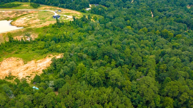 311 Cove Lake Dr, Livingston, TX 77351 - photo 10