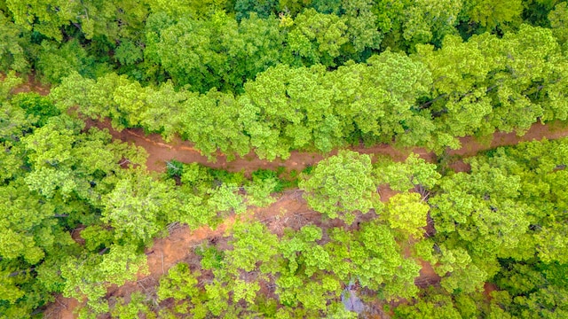 311 Cove Lake Dr, Livingston, TX 77351 - photo 11