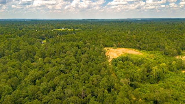 311 Cove Lake Dr, Livingston, TX 77351 - photo 3