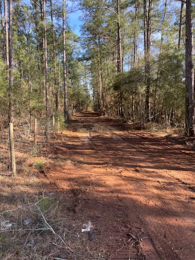 311 Cove Lake Dr, Livingston, TX 77351 - photo 13