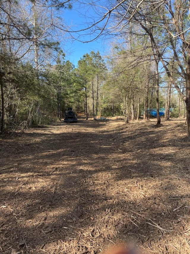 311 Cove Lake Dr, Livingston, TX 77351 - photo 17