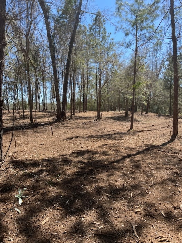 311 Cove Lake Dr, Livingston, TX 77351 - photo 19