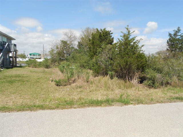 TBD Schlitz, Hitchcock, TX 77563 - photo 4