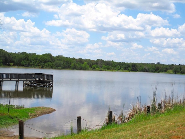 184 Arrowhead, Smithville, TX 78957 - photo 26