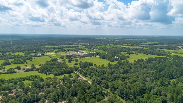 30525 Hegar Rd, Hockley, TX 77447 - photo 47