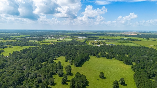 30525 Hegar Rd, Hockley, TX 77447 - photo 48